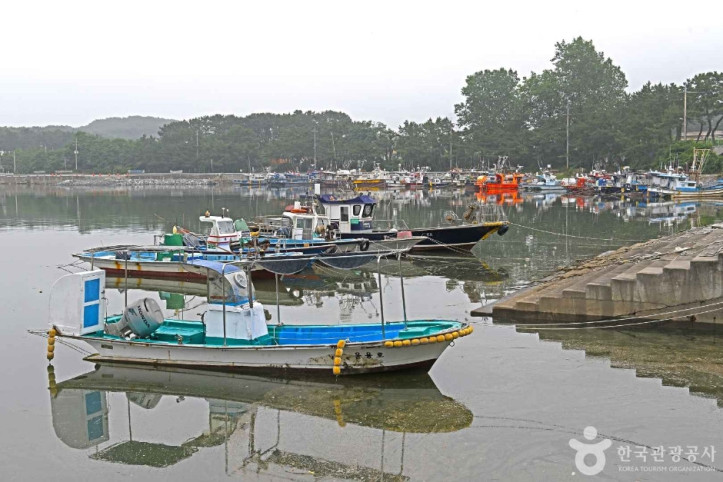 무창포항_4_공공3유형.JPG