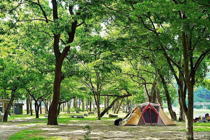 고령 신촌숲 여행 추천 - 메고지고