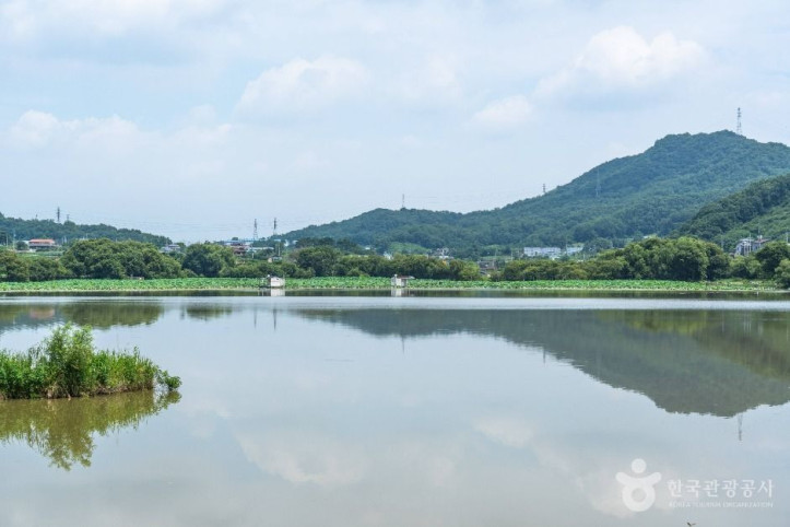 월랑저수지_3_공공1유형.jpg