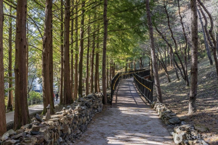 미동산수목원_1_공공3유형.jpg