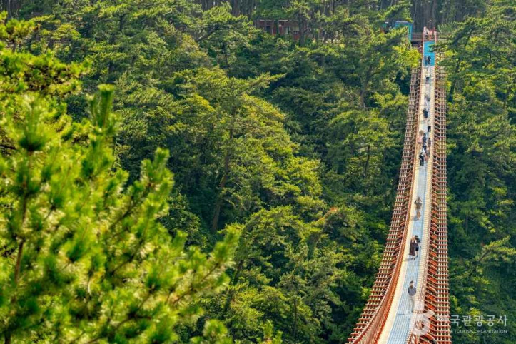 대왕암공원_출렁다리_1_공공1유형.jpg
