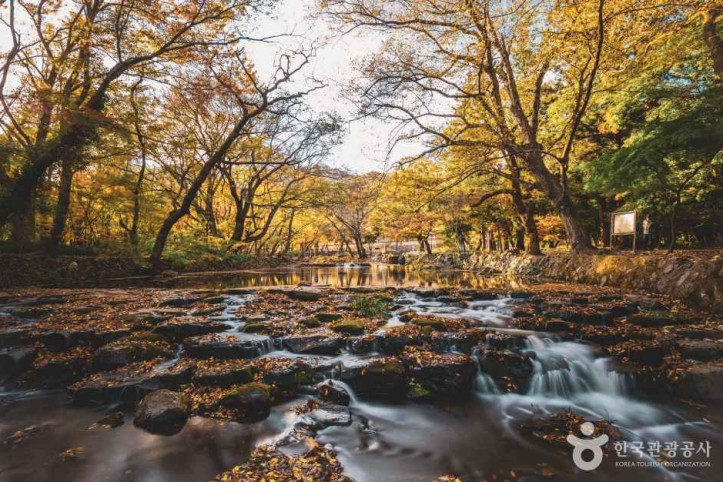 선운사(고창) 여행 추천 - 메고지고