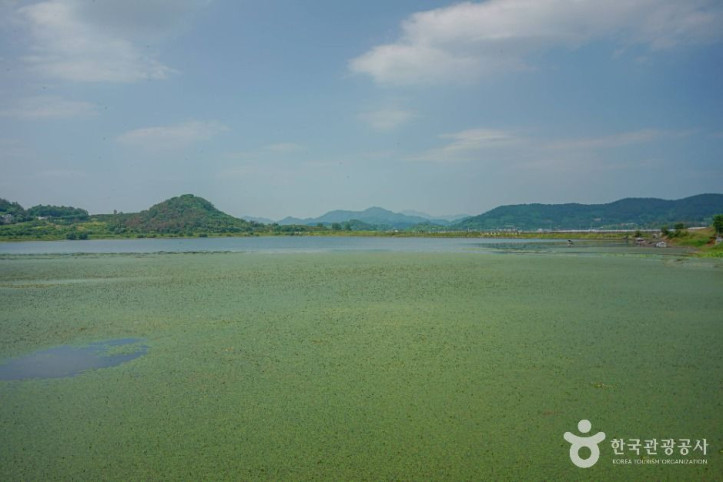 초동저수지_3_공공1유형.jpg