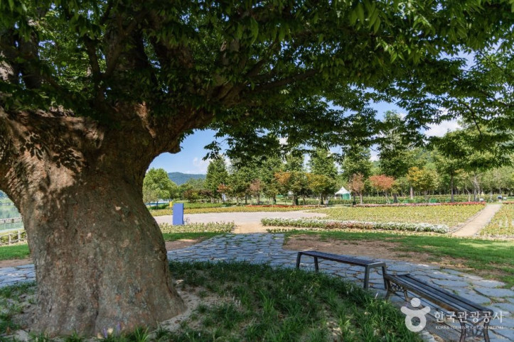 거례리사랑나무_4_공공1유형.jpg