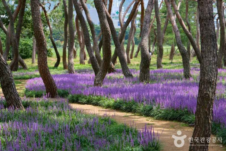 황성공원 여행 추천 - 메고지고