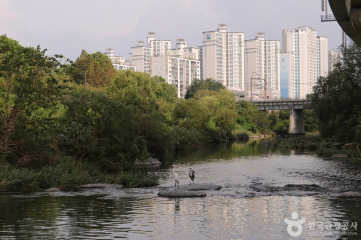 청계8경_버들습지_8_공공3유형.JPG