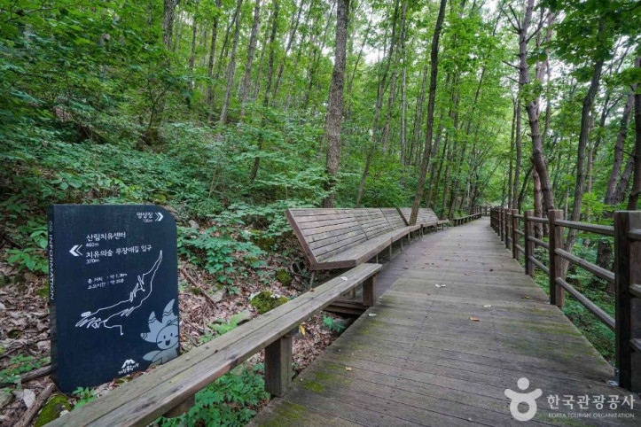 치유의숲_무장애길_5_공공3유형.JPG