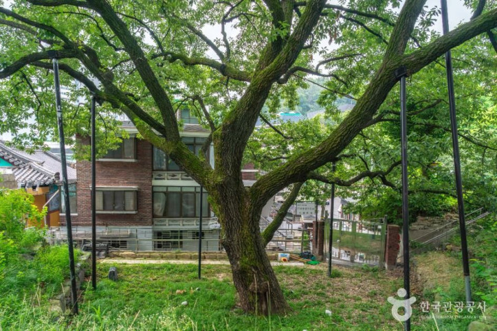 서울_신림동_굴참나무_1_공공1유형.JPG