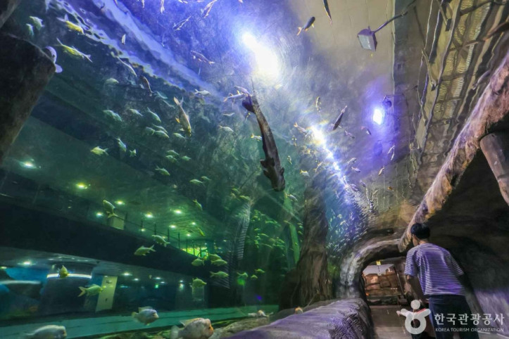 대전아쿠아리움_1_공공3유형.jpg