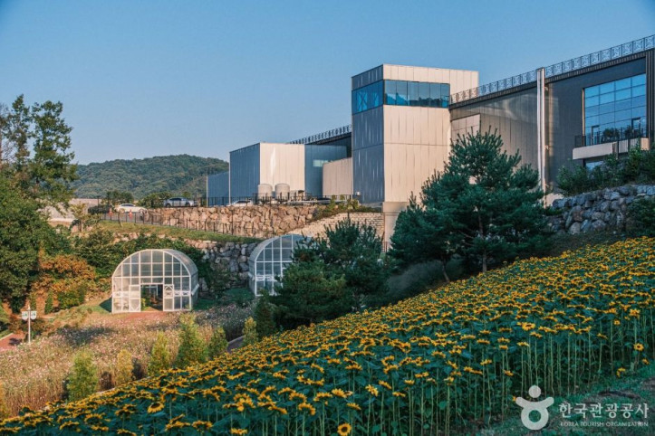 증평 에듀팜(벨포레 리조트) 여행 추천 - 메고지고
