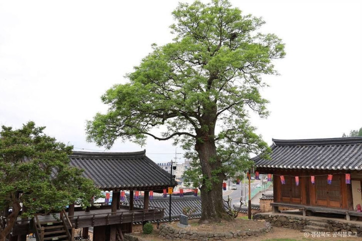 영천향교 여행 추천 - 메고지고