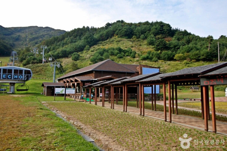 무주리조트_관광곤도라_2_공공3유형.JPG