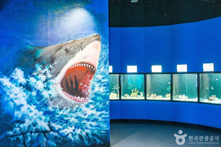 울진아쿠아리움_5_공공3유형.jpg