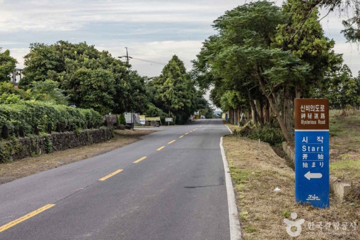 신비의도로_6_공공3유형.jpg