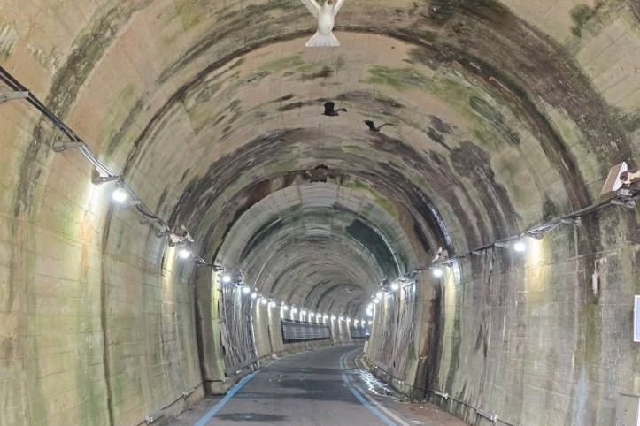 순창_향가터널_1_공공3유형.jpg