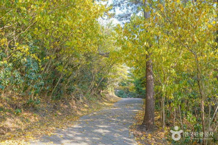 느지리오름 여행 추천 - 메고지고