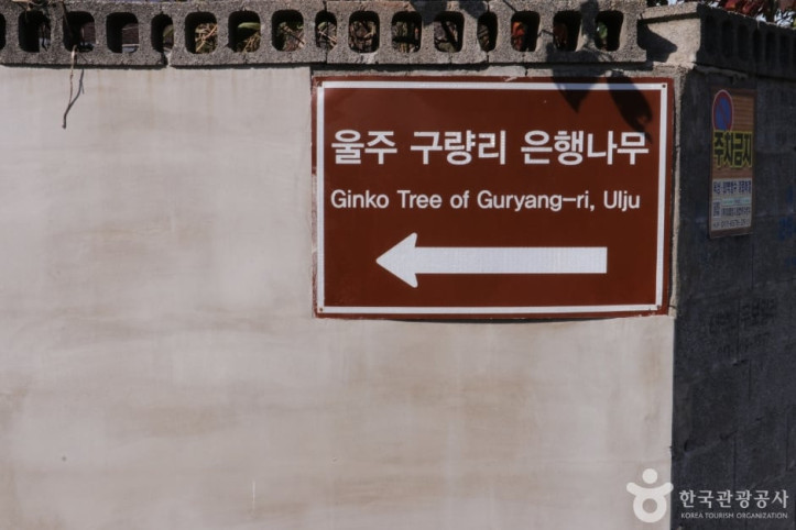 울주_구량리_은행나무_5_공공3유형.jpg