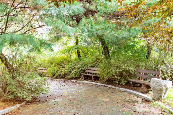 불당동 유적공원 (선사유적지 공원) 여행 추천 - 메고지고
