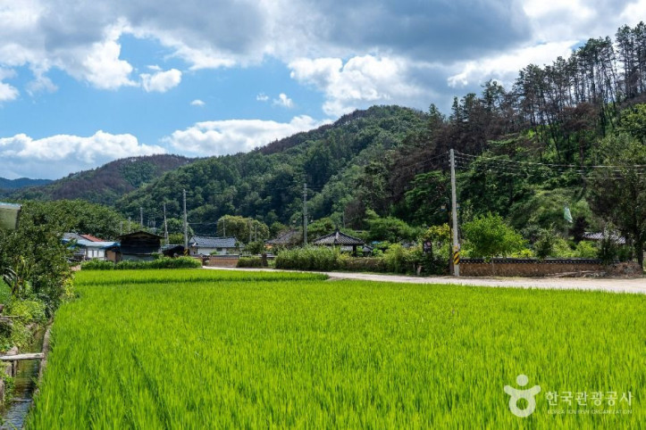 청송_덕천마을_2_공공1유형.jpg