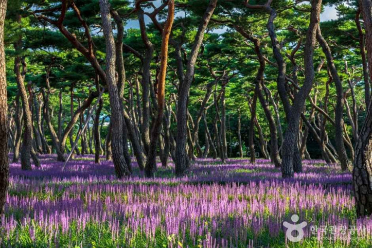 황성공원 여행 추천 - 메고지고
