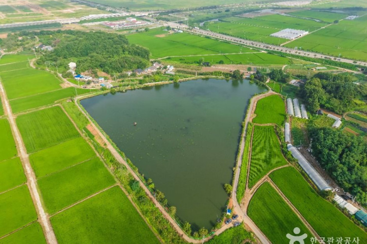 분지섬저수지_1_공공1유형.jpg