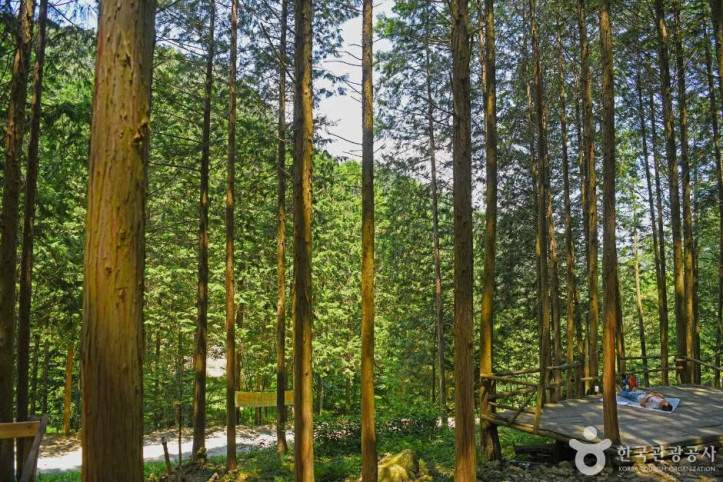 완주상관편백숲_4_공공3유형.JPG