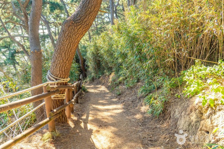 죽변등대 여행 추천 - 메고지고