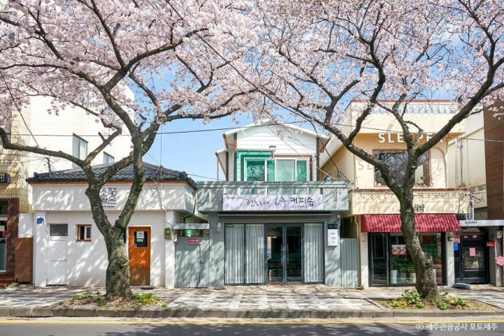 전농로_벚꽃거리_2_공공3유형.jpg