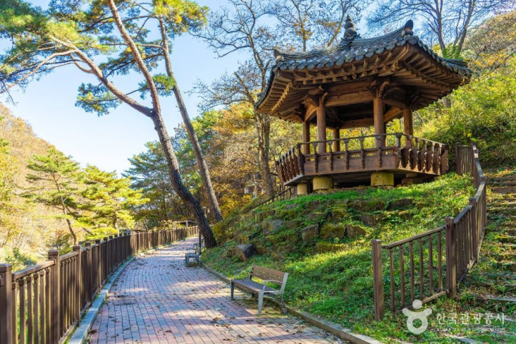 옥계폭포 여행 추천 - 메고지고