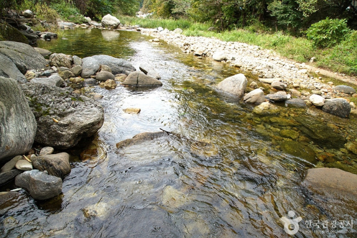 금대계곡_5_공공3유형.jpg