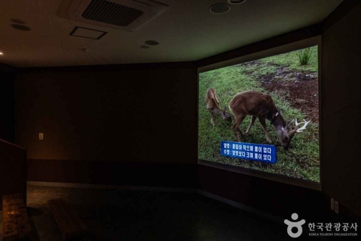 제주_노루생태관찰원_3_공공3유형.jpg