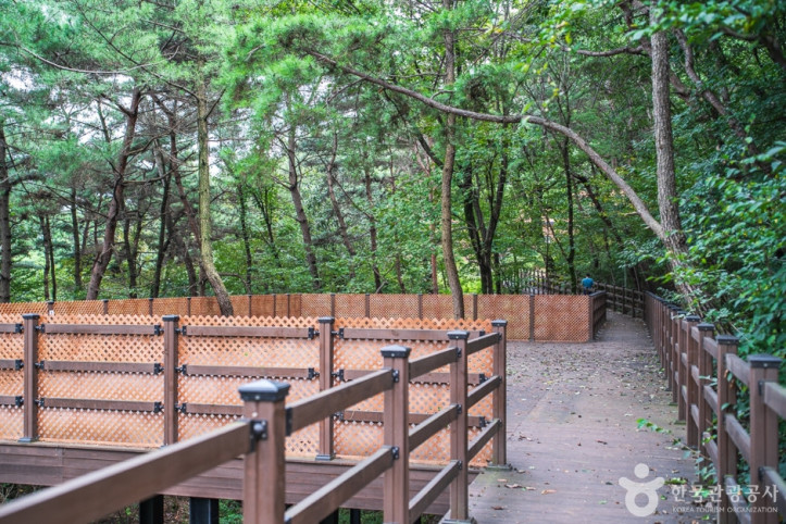 태학산_치유의_숲_5_공공3유형.jpg