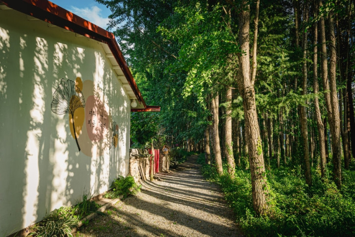 도리마을은행나무숲_2_공공1유형.jpg