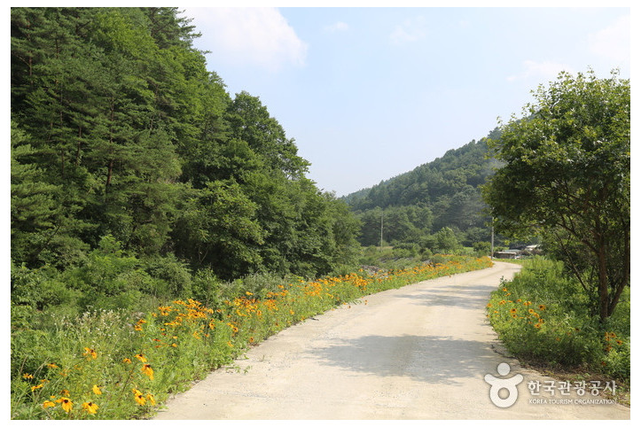 구룡산(강원)_3_공공3유형.jpg