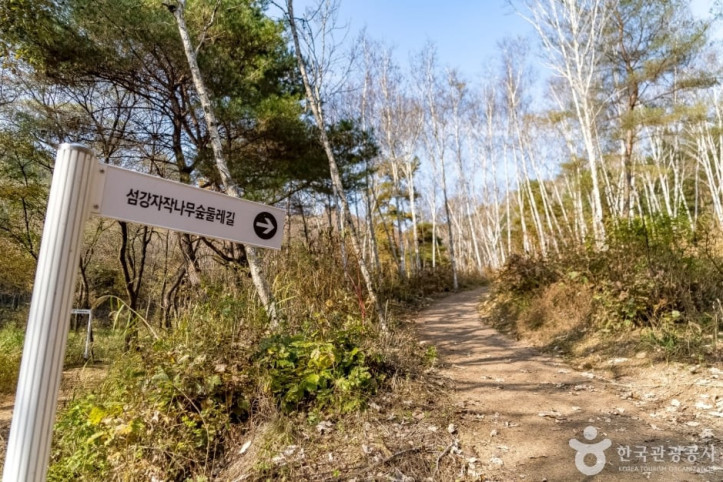 원주섬강자작나무숲둘레길_4_공공3유형.jpg