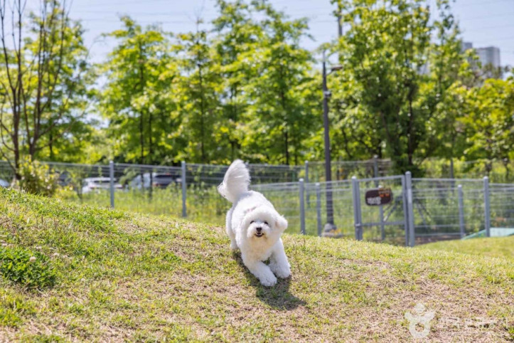 진주휴게소반려견놀이터_2_공공3유형.jpg
