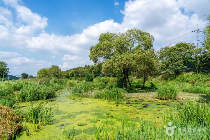 탄천민물고기습지생태원_5_공공1유형.jpg