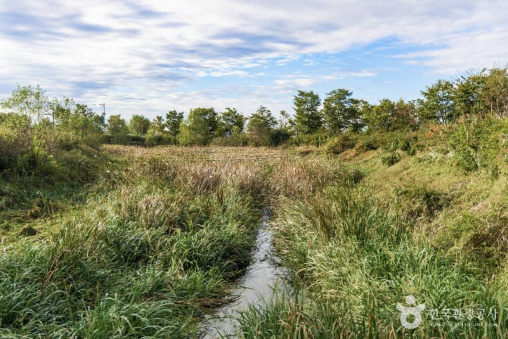 유천생태습지공원_5_공공1유형.jpg