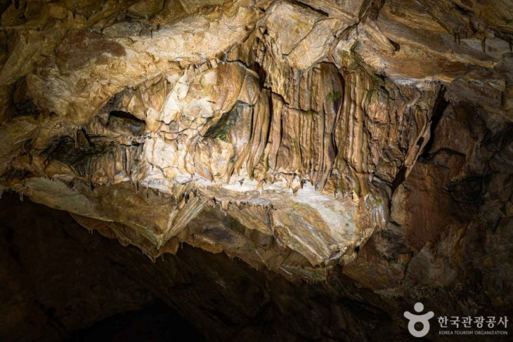용연동굴_(강원고생대_국가지질공원)_4_공공1유형.jpg