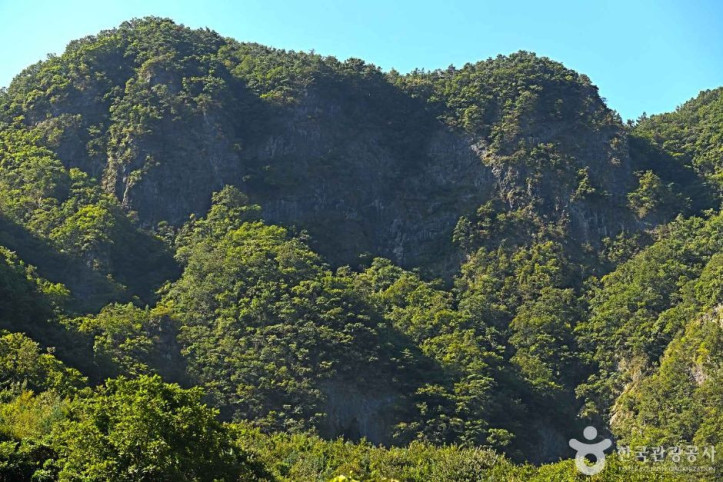 기화리_코끼리바위_4_공공3유형.JPG
