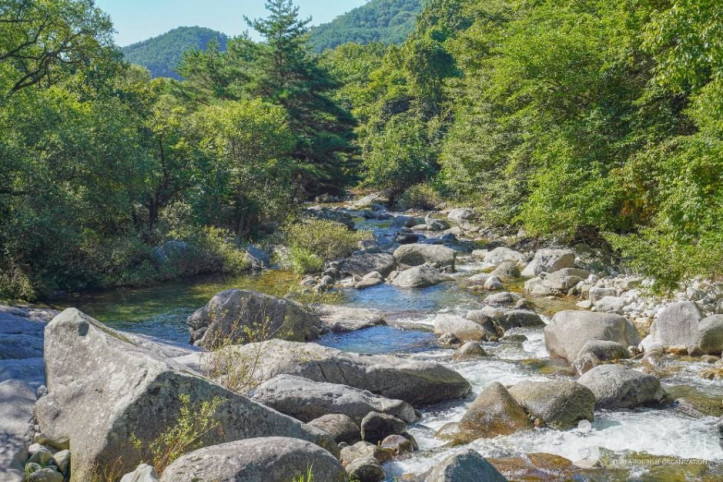 기백산_용추계곡과_용추폭포_5_공공1유형.jpg