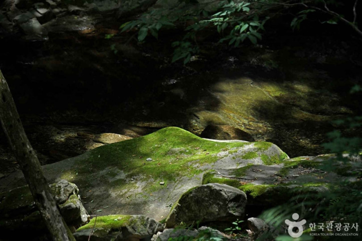 동학사계곡_1_공공3유형.jpg
