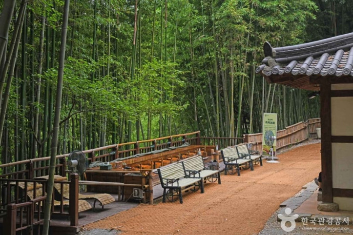 죽녹원_9_공공3유형.jpg