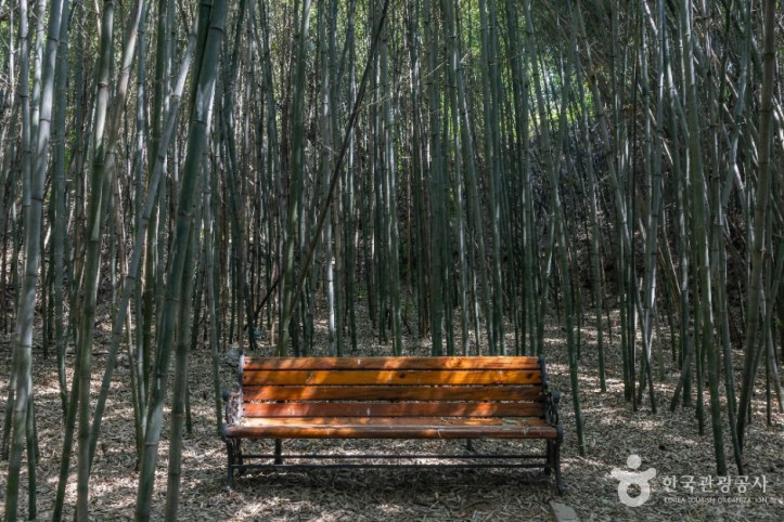 면천읍성_대숲바람길_7_공공1유형.jpg