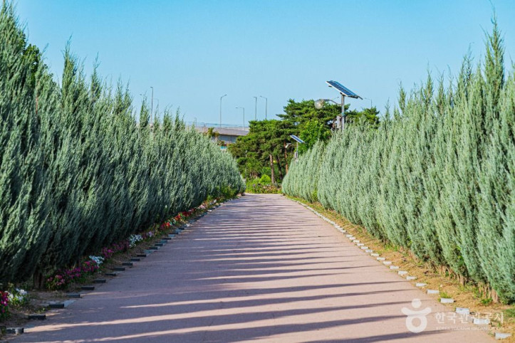 구리한강시민공원(코스모스공원)_5_공공1유형.jpg