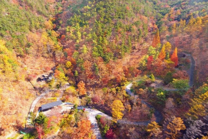 국립속리산말티재자연휴양림 여행 추천 - 메고지고