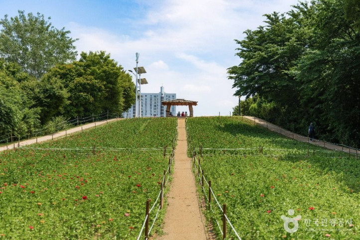 올림픽공원_들꽃마루_3_공공1유형.jpg