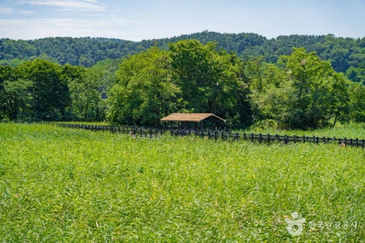 비봉습지공원_2_공공1유형.jpg