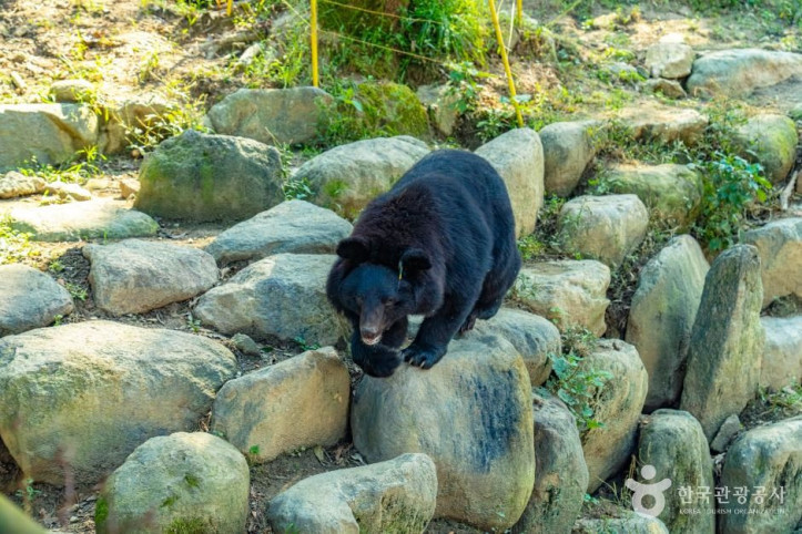 지리산_반달가슴곰_공존센터_7_공공1유형.jpg
