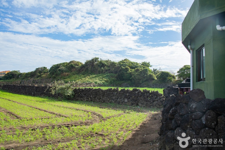 감수굴_밭담길_9_공공3유형.jpg